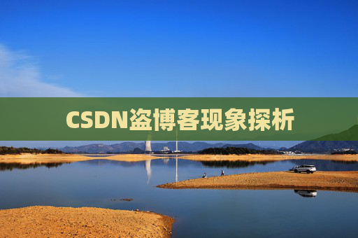 CSDN盗博客现象探析